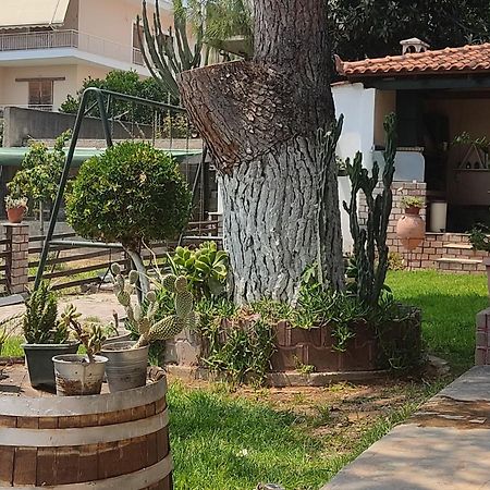 Alice House 1 Apartment Амаринтос Екстериор снимка